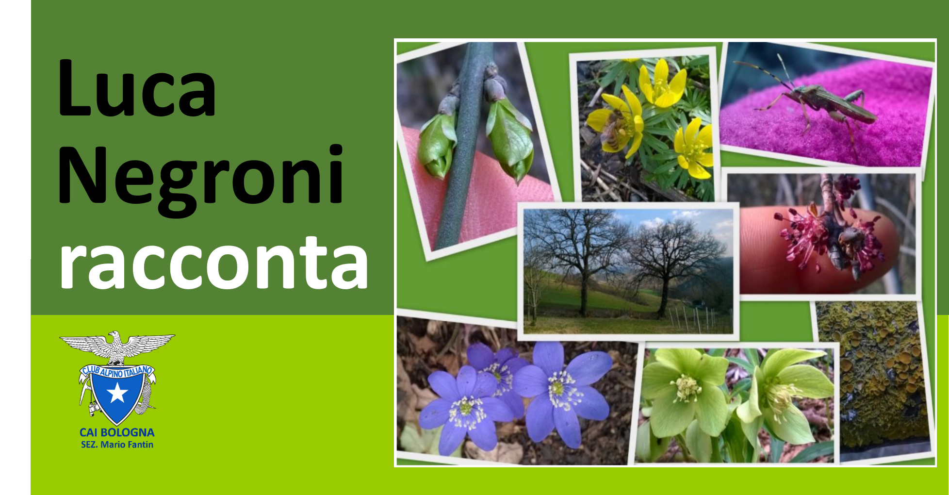 LucaNegroniRacconta 4Titolo