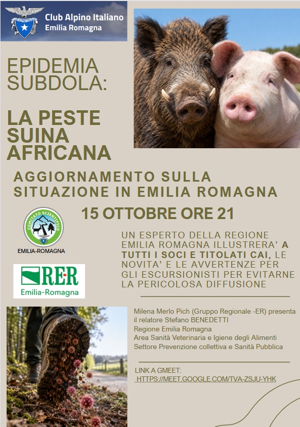 PesteSuinaEpidemiaImgTUTTO