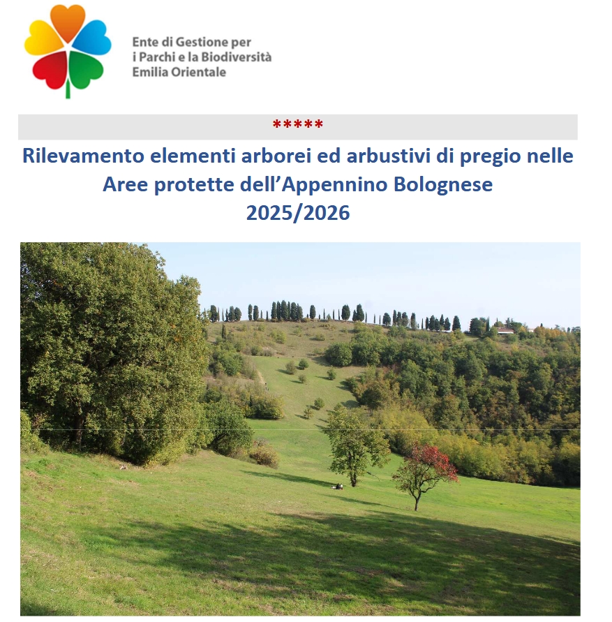 EntePargoProgettoRilevamento